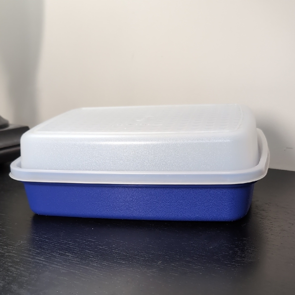 Tupperware Season And Serve Marinating Container Blue